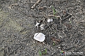 VBS_7618 - Andare lontano, oltre i campi da arare... e ancora più in là